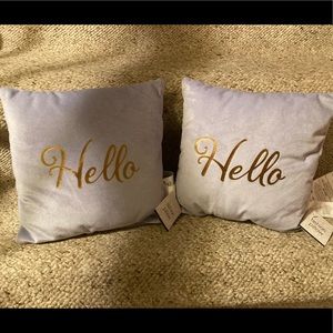 Fashion Pillows in Grey Velour with Gold Lettering